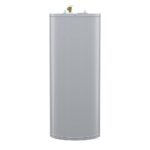 A.O. Smith Signature 100 40-Gallon Short 3800-Watt Double Element Electric Water Heater | E6-40R38D TTP - Image 3